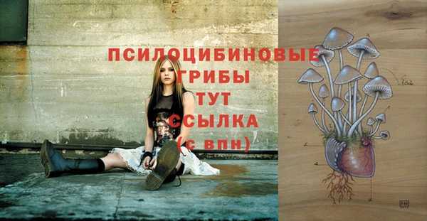 jwh Беломорск