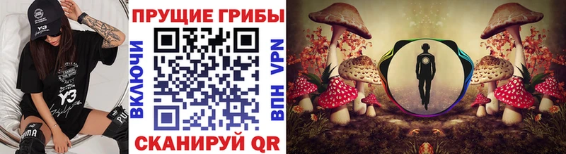 Галлюциногенные грибы Psilocybine cubensis Купить закладки Таруса